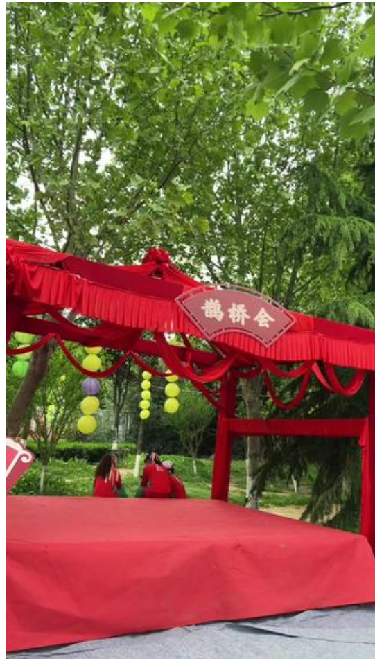 桃花朵朵， 那两天要在古城新野遇见你！！！