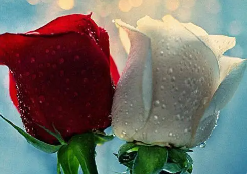 爱一场恨一场,缘起誓言到白头,缘落相看两相厌