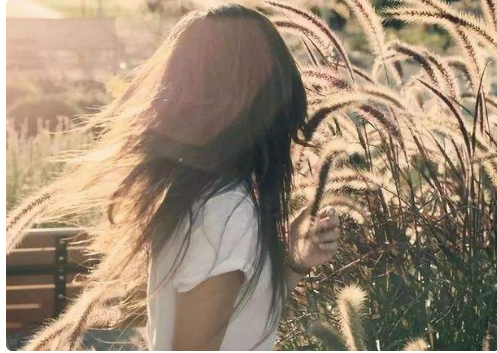 67ab402173895.png image.png