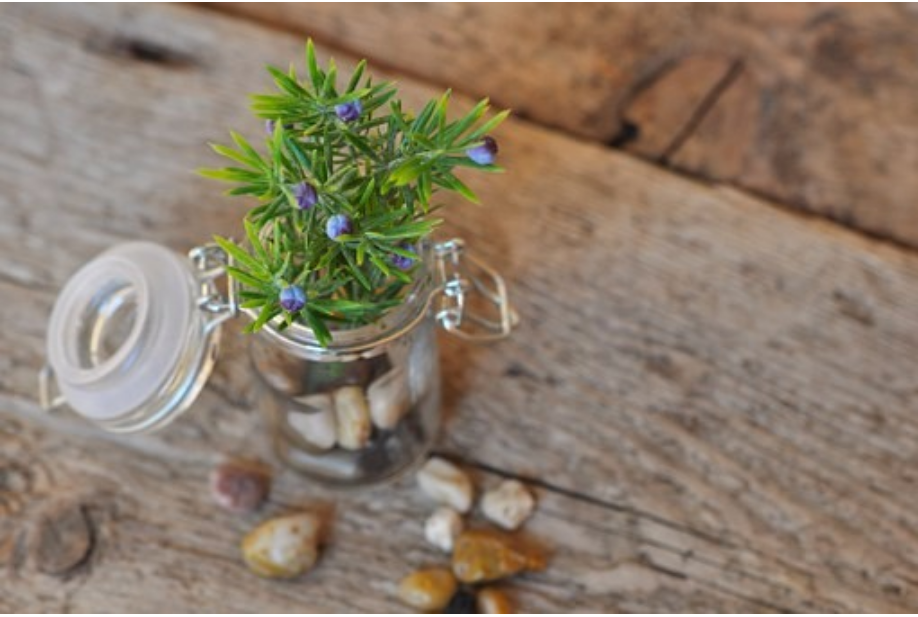 最唯美的爱情许诺,最无奈的爱情结果_www.17xiangqinwang.com