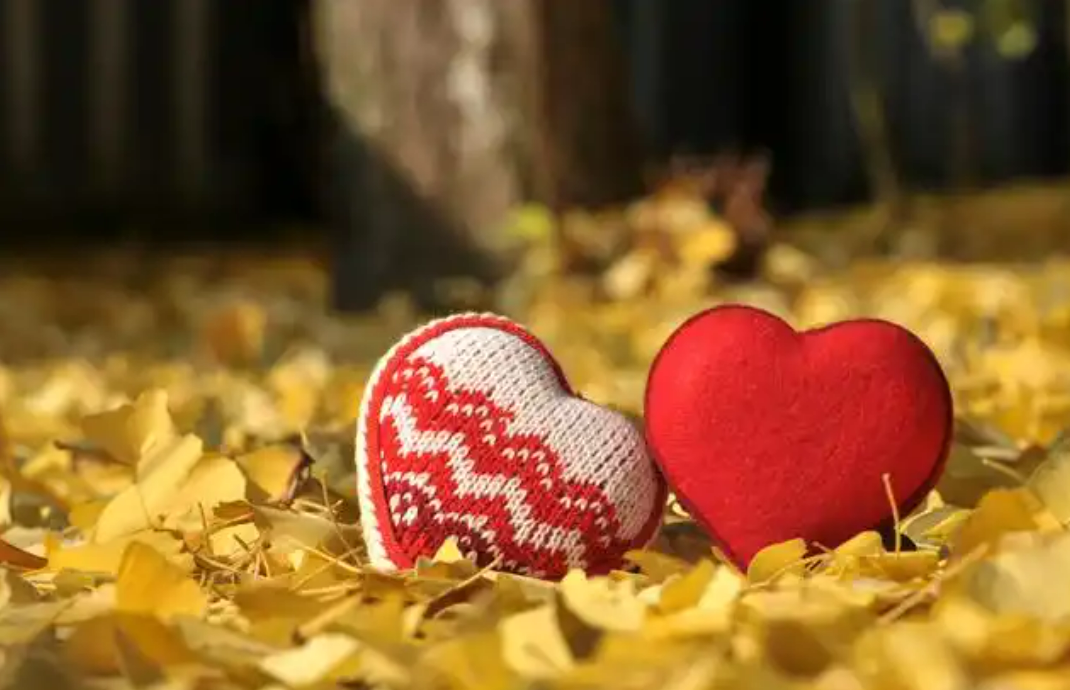 67b8633c25247.png image.png