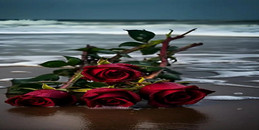 女人，为了自己的幸福，要学会及时止损-www.17xiangqinwang.com （一起相亲网）