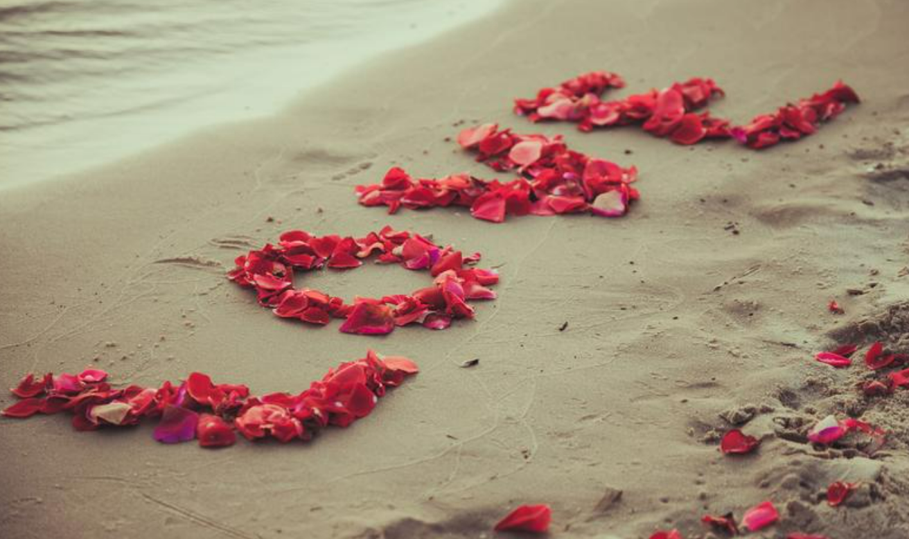 67b88056ae4ee.png image.png