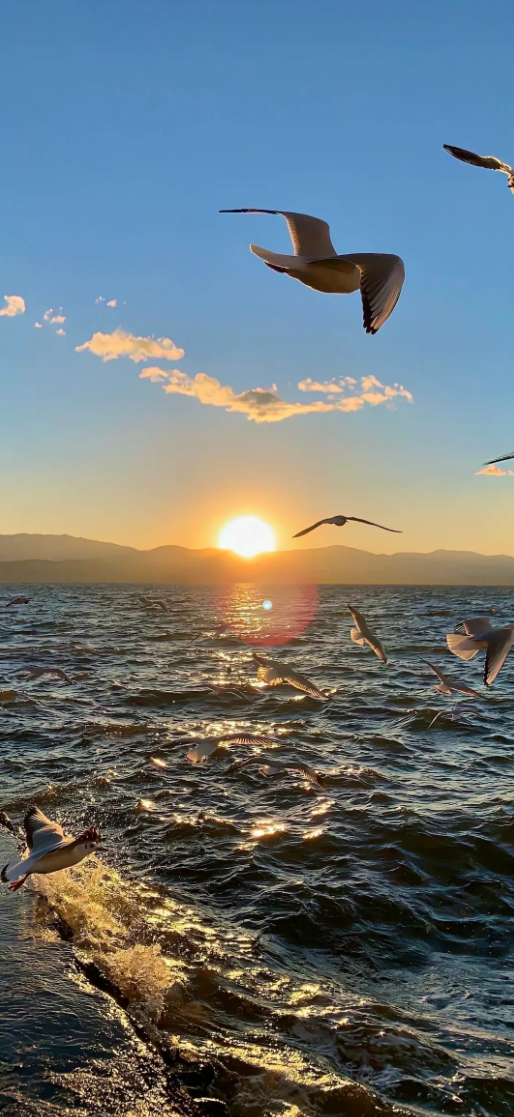 67b99af2c9a0a.png image.png