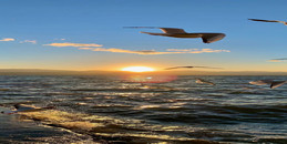 三观契合的人，终究会相遇-www.17xiangqinwang.com （一起相亲网）