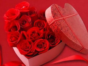 67cffc1cf3e47.png image.png