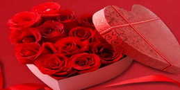 680d8b9947e4c.png 2025-03-11_170215.png