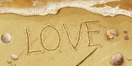 6845012edc2ce.png 2025-03-12_170629.png